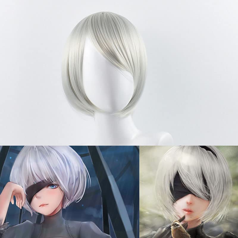 Korte Sliver Cosplay Pruiken v - Men'S Accessories Types recensie en prijs